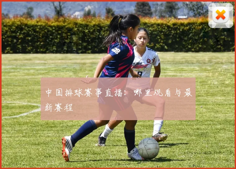 中国排球赛事直播：哪里观看与最新赛程