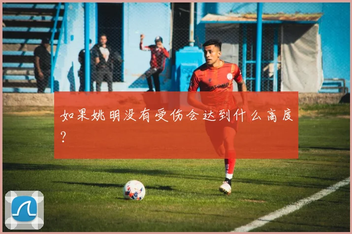 如果姚明没有受伤会达到什么高度?