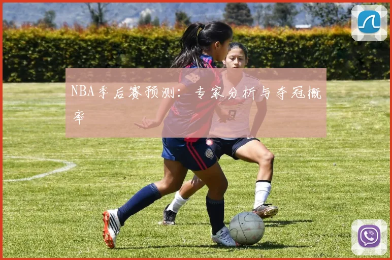 NBA季后赛预测：专家分析与夺冠概率